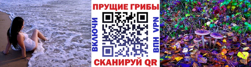 Псилоцибиновые грибы Cubensis  магазин  наркотиков  MEGA tor  Полтавская 